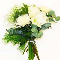 Vit amaryllis bukett - Julblommor - Skicka blommor